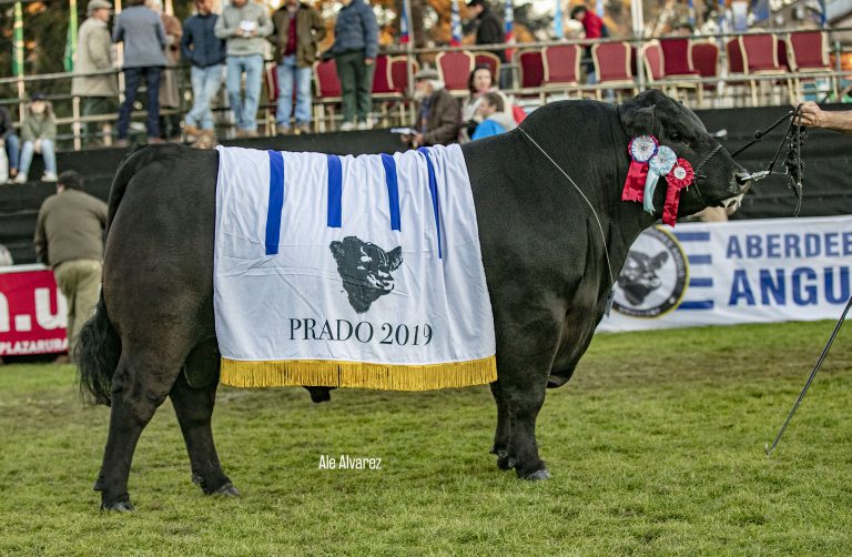 Prado 2019, haciendo historia en la raza