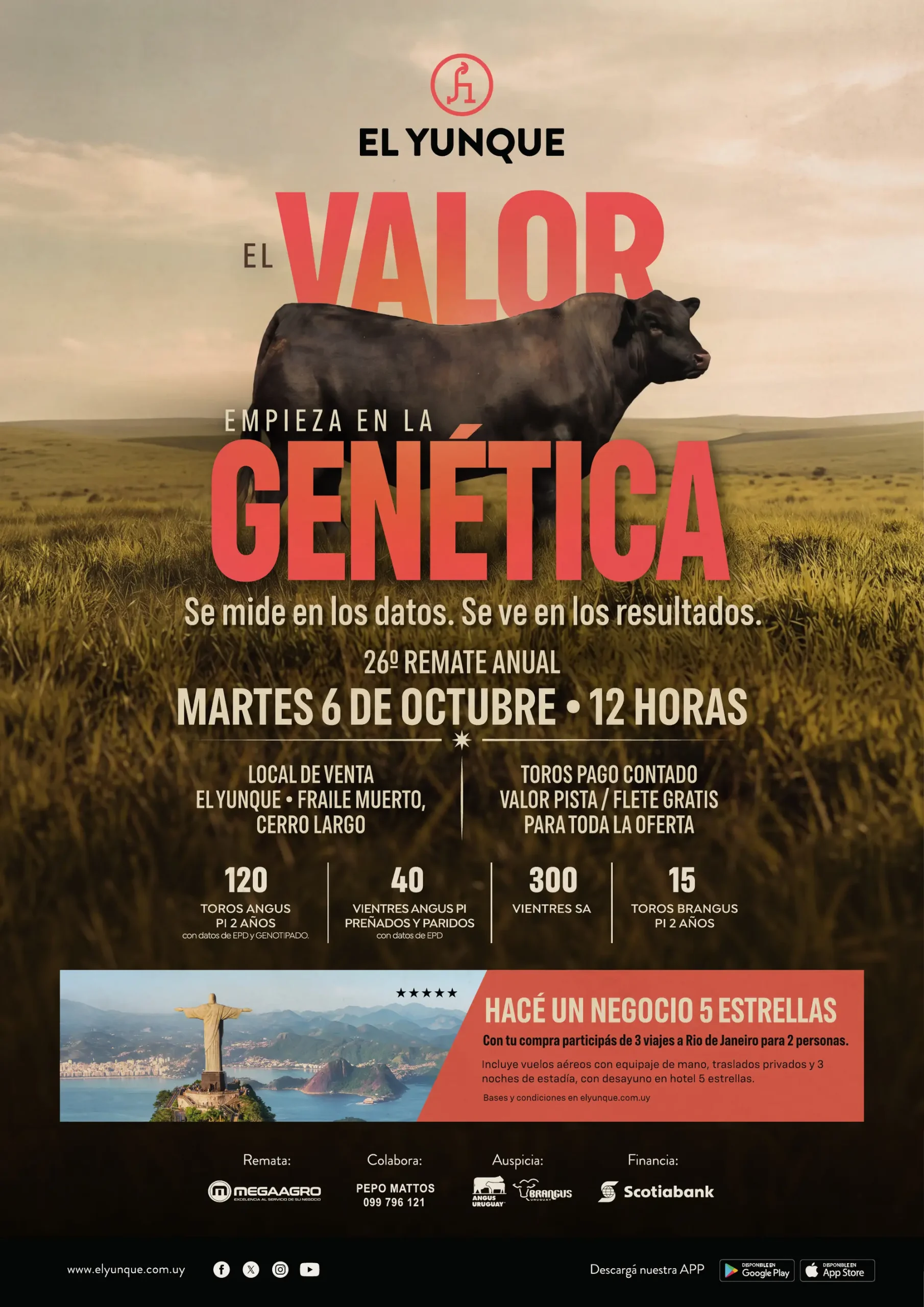 26° Remate Anual